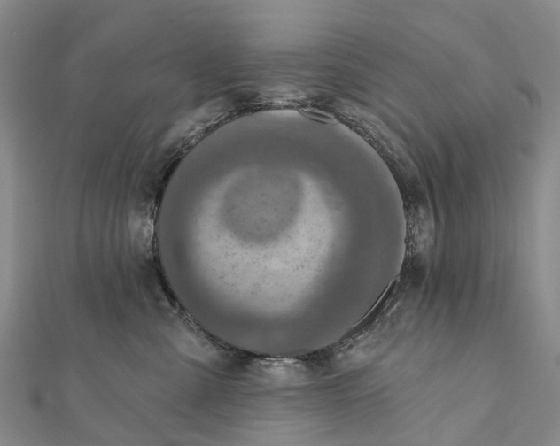 X0000112100427200908251154