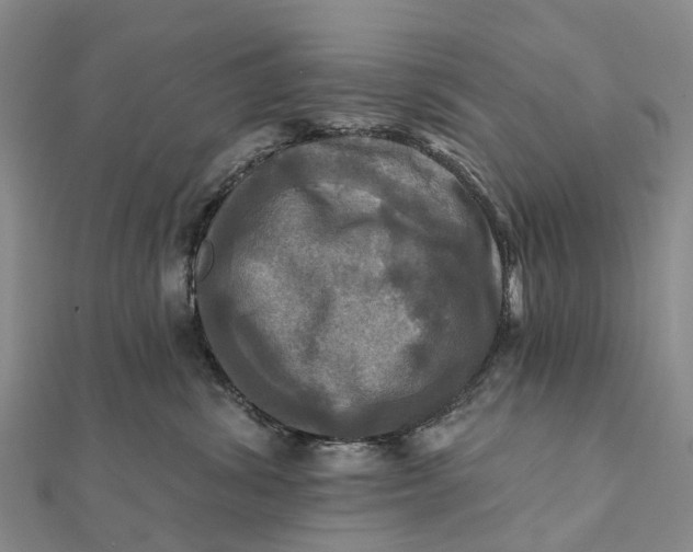 X0000112100428200908251154