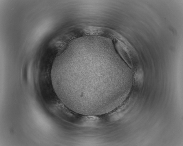 X0000112100429200908251154