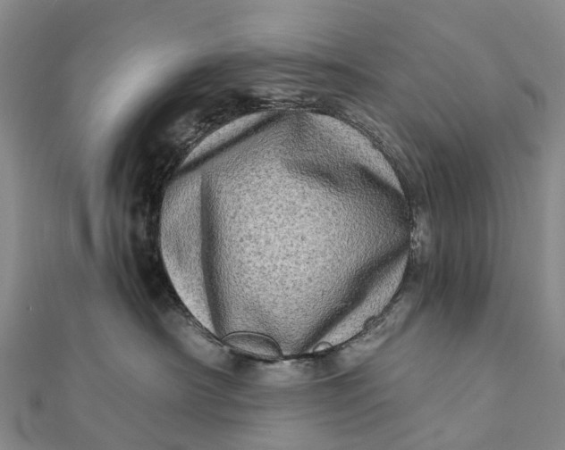 X0000112100430200908251154