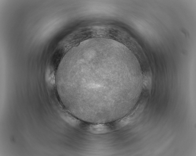 X0000112100431200908251154