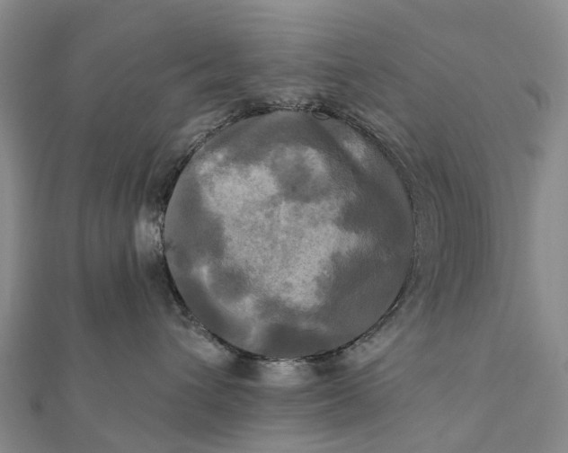 X0000112100432200908251153