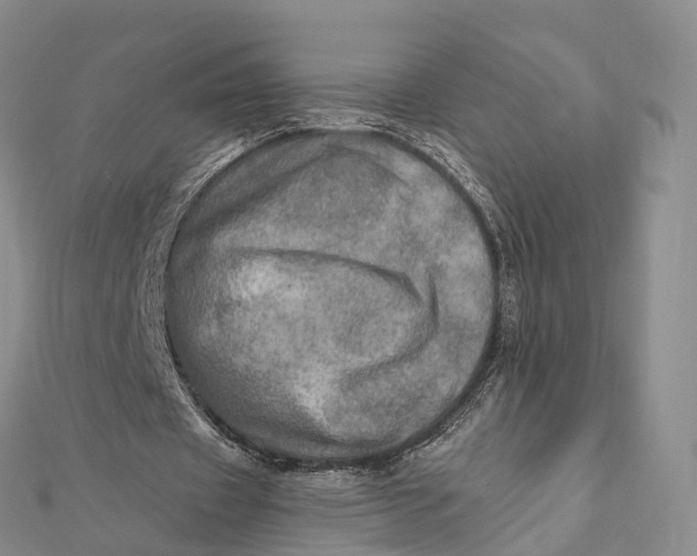 X0000112100433200908251153