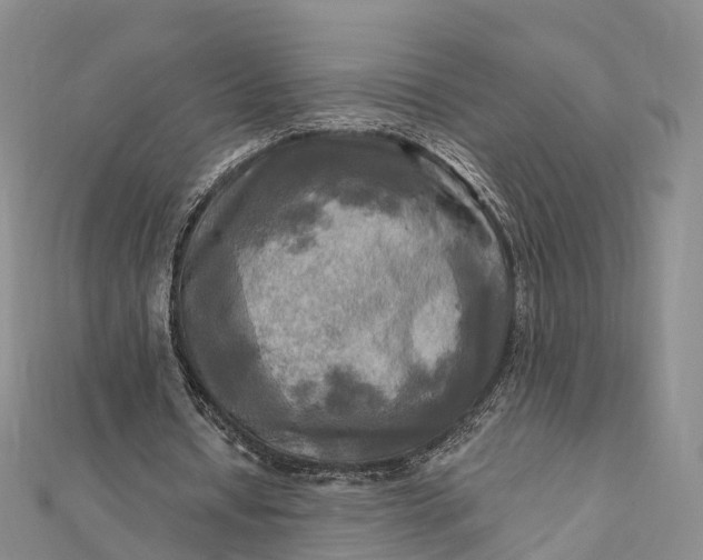 X0000112100434200908251153