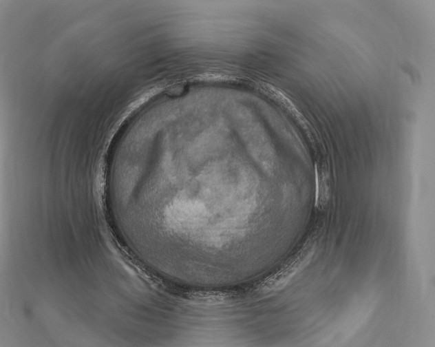 X0000112100435200908251153