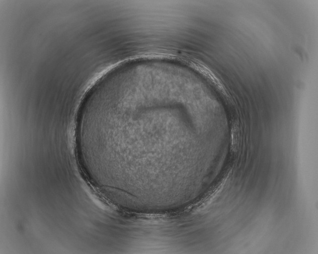 X0000112100436200908251153