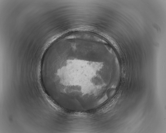 X0000112100437200908251153