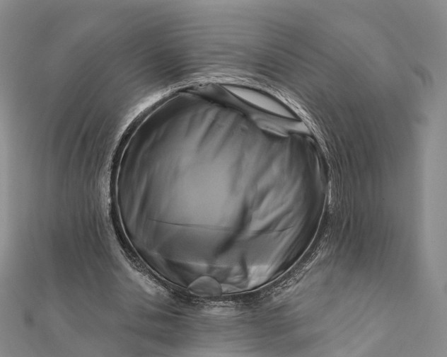 X0000112100438200908251153