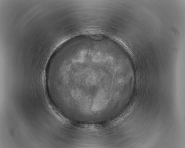 X0000112100439200908251153