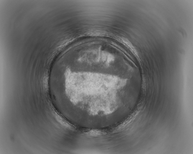 X0000112100441200908251153