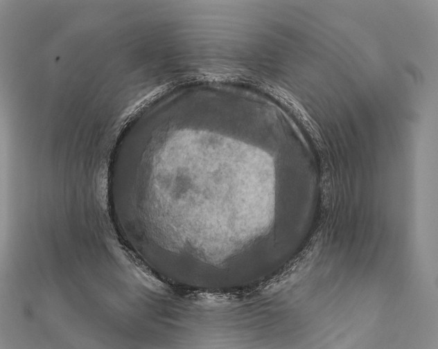 X0000112100442200908251153