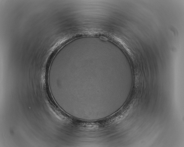 X0000112100443200908251153