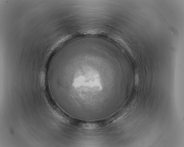 X0000112100444200908251153