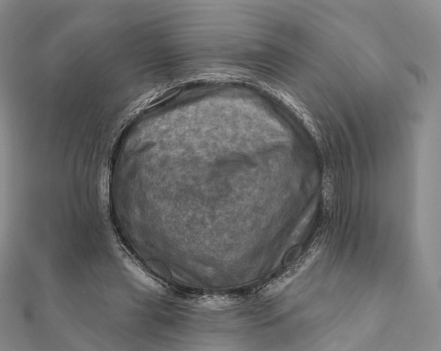 X0000112100445200908251153