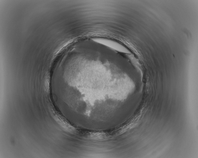 X0000112100446200908251153