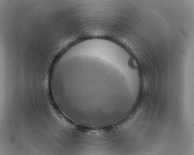 X0000112100447200908251153