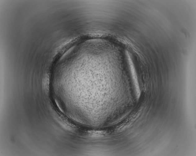 X0000112100448200908251153