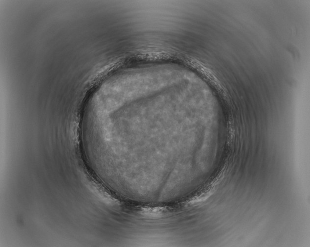 X0000112100450200908251153