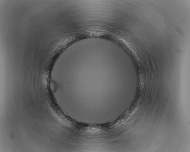 X0000112100451200908251153