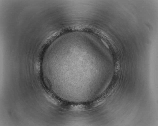 X0000112100452200908251153