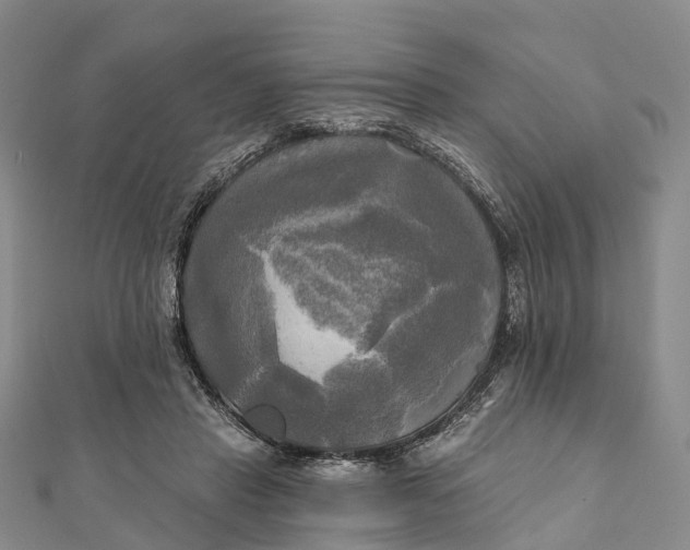 X0000112100453200908251153