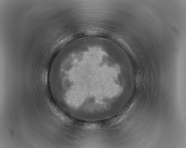 X0000112100454200908251153