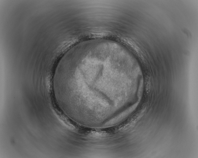 X0000112100455200908251153