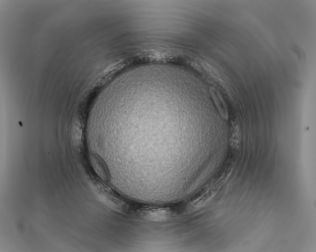 X0000112100456200908251153