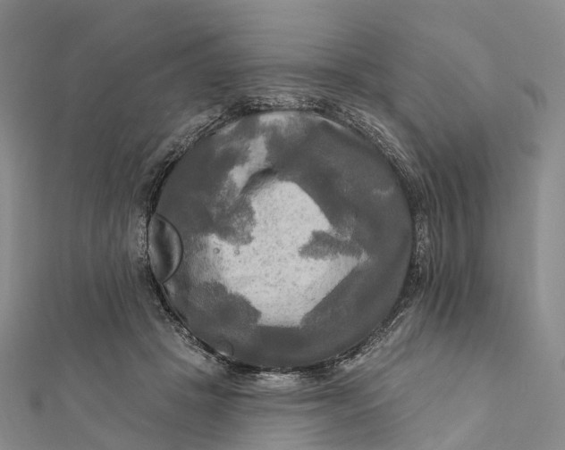 X0000112100457200908251153