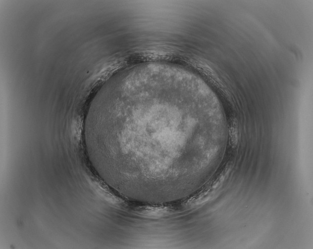 X0000112100458200908251153