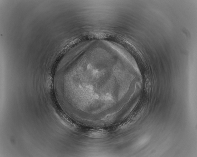 X0000112100459200908251153