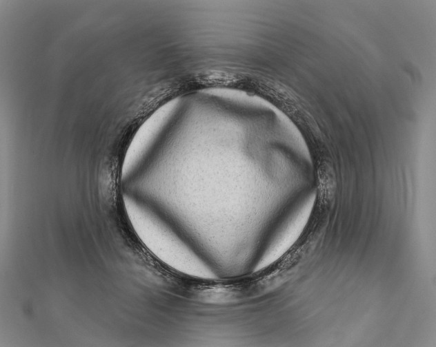 X0000112100460200908251153