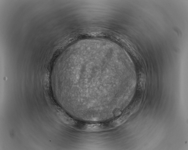 X0000112100461200908251153