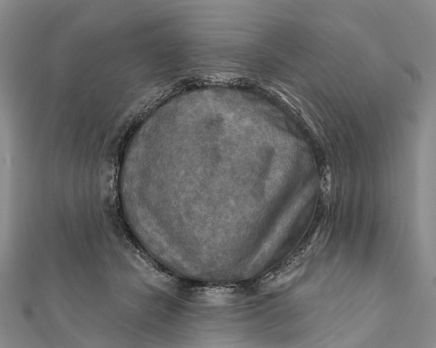 X0000112100462200908251153