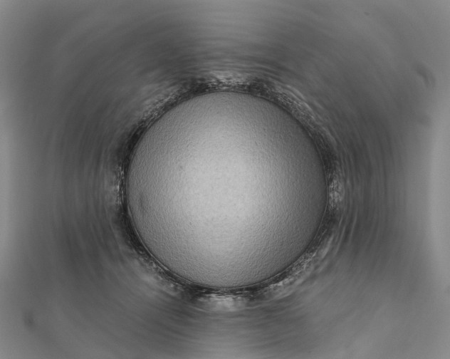 X0000112100464200908251153