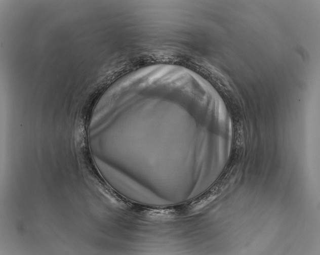 X0000112100465200908251153