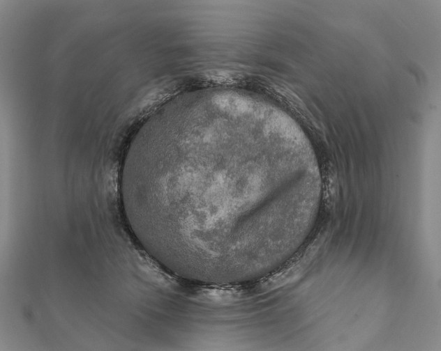 X0000112100466200908251153