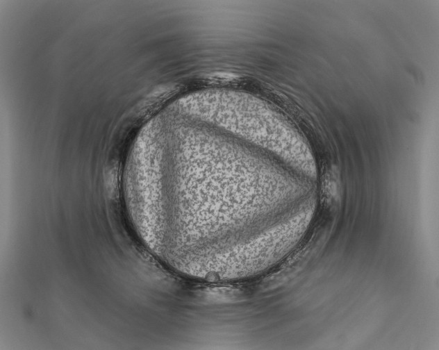 X0000112100468200908251153