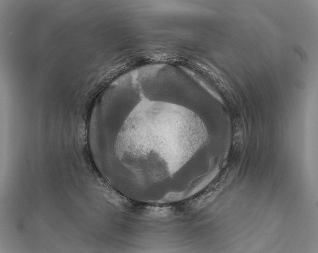 X0000112100469200908251153