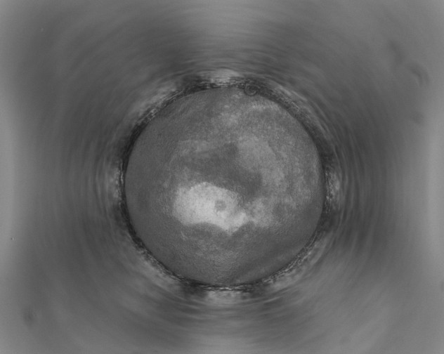 X0000112100470200908251153