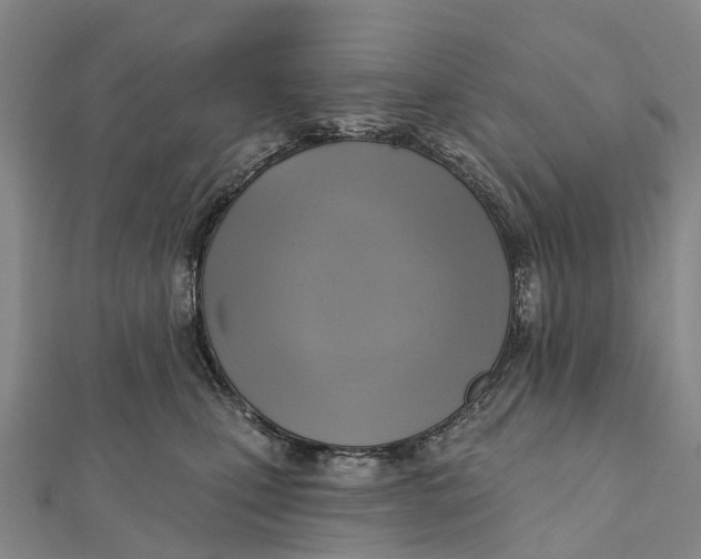 X0000112100471200908251153