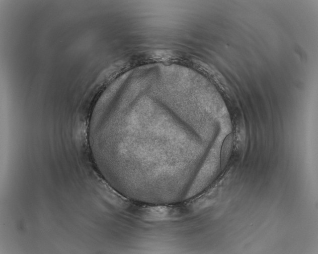 X0000112100473200908251153