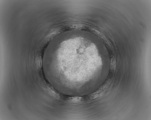 X0000112100474200908251153