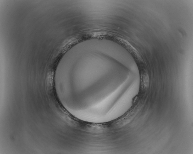 X0000112100475200908251153