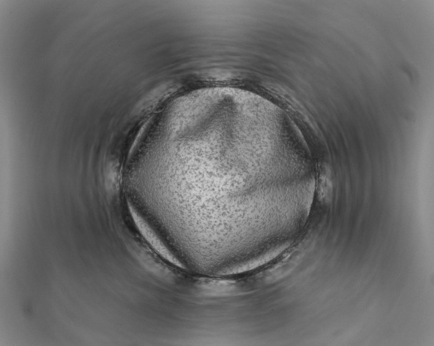 X0000112100476200908251153