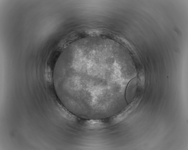 X0000112100477200908251153