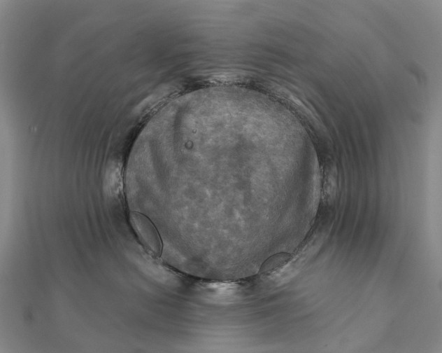 X0000112100478200908251153