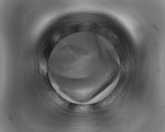 X0000112100479200908251153