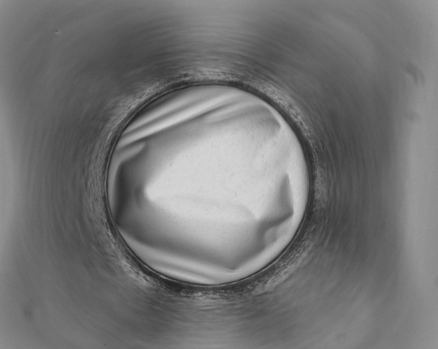 X0000112100481200908251153