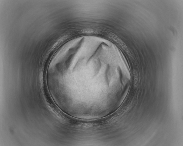 X0000112100482200908251153